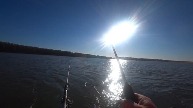 Попали на раздачу леща. Лещ на кольцо и донки. Рыбалка на Оби.