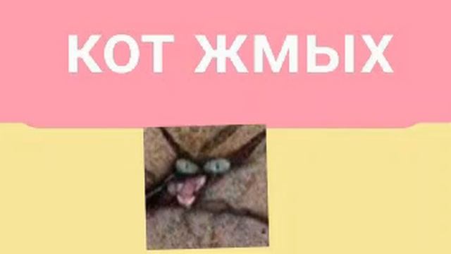 мышка сосиска кот жмых