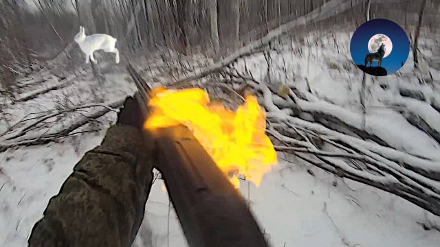 ПО ЗАЯЧЬЕМУ СЛЕДУ * ГОРЯЧАЯ ПОГОНЯ ЗА ЗАЙЦАМИ