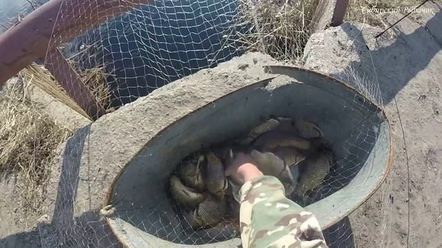 РЫБАЛКА НА ПАУК! ЛУЧШИЕ МОМЕНТЫ РЫБАЛКИ НА ПАУК СЕЗОНА 2021