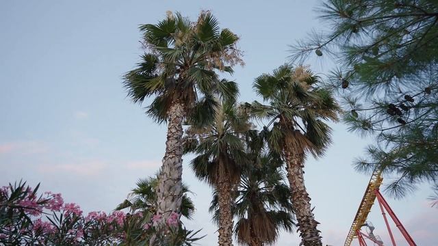 СОЧИ. СИРИУС. 2024. Пляжи! Сочи парк! Обзор и цены! Часть 1.