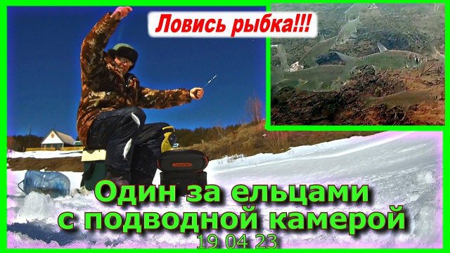 Один за ельцами с подводной камерой 19 04 23