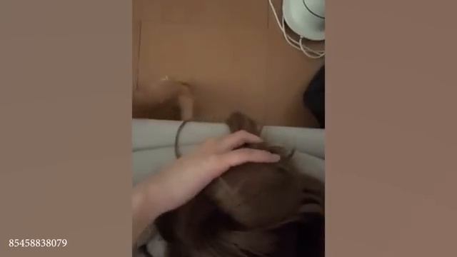 Смешные животные