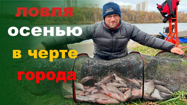 ловля осенью в черте города