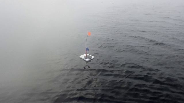 Судак проснулся!!!.mp4