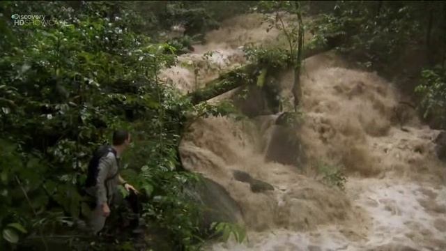 Выжить любой ценой 6 сезон 4 серия «Джунгли Борнео» (документальный сериал, 2006)