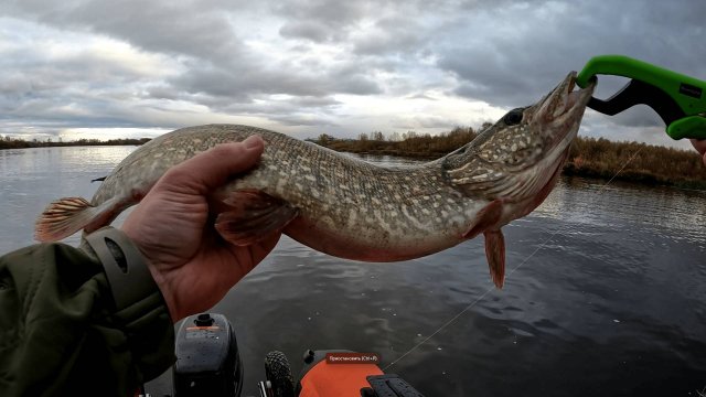 ЩУКА НА СПИННИНГ С ЛОДКИ. Осенняя рыбалка на джиг