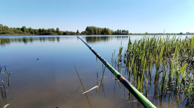 РЫБАЛКА НА ПОПЛАВОК. Карась на маховую удочку весной