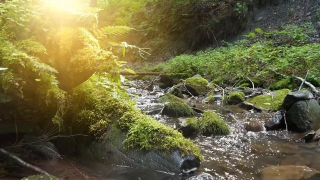 Рассел - Хвалите Бога небес (Сборник песен хвалы)