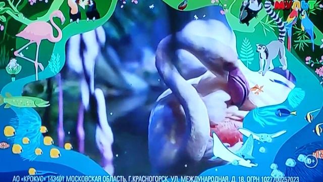 Анонс и Реклама, (Мульт, 25.12.2022)