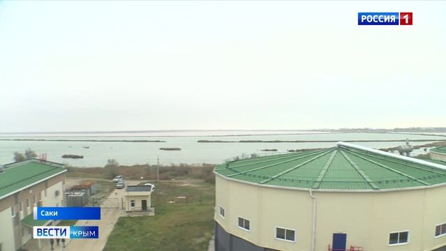 Почему пруд-накопитель озера в Саках превратился в зловонное болото