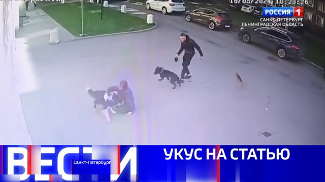 Вести Санкт-Петербург. Выпуск 09:30 от 04.12.2024