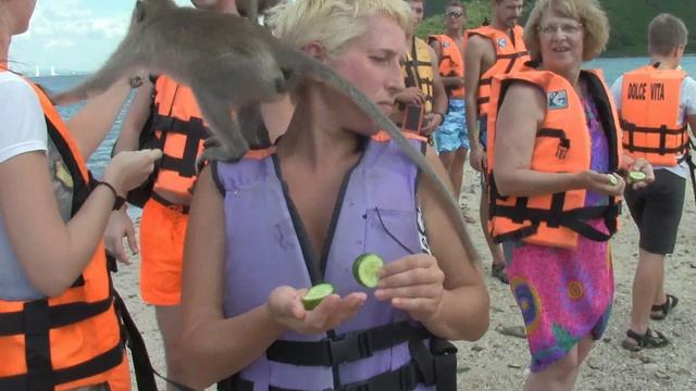 Тайланд Ноябрь 2016г экскурсия Мадагаскар Паттайя