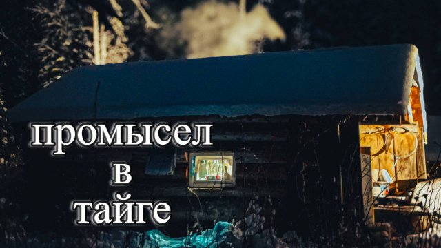 4 дня приключений в Тайге. Промысел соболя