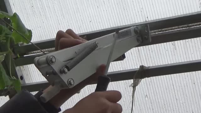 6 соток в конце сентября. Снимаю автоматические форточки 2019 год