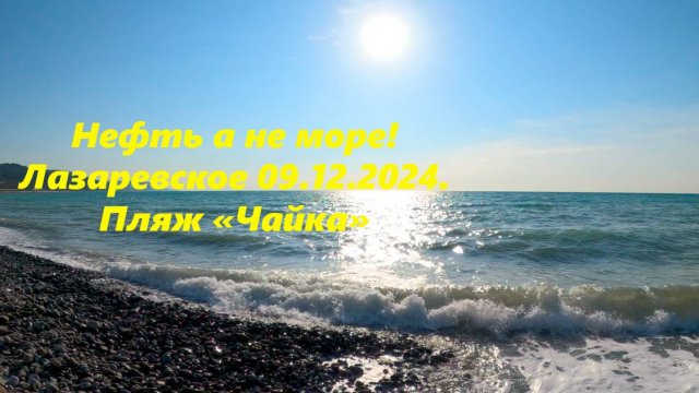 Нефть а не море ! Лазаревское 09.12.2024 на пляже "Чайка"