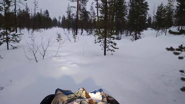 ловлю пеньки)