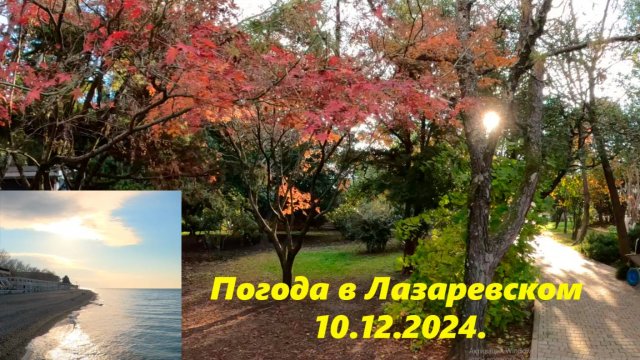 Погода в Лазаревском 10.12.2024. 🌴ЛАЗАРЕВСКОЕ СЕГОДНЯ🌴СОЧИ.