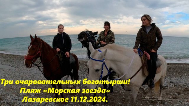 Очаровательные богатырши ! Пляж "Морская звезда" ,Лазаревское 11.12.2024. 🌴ЛАЗАРЕВСКОЕ СЕГОДНЯ🌴