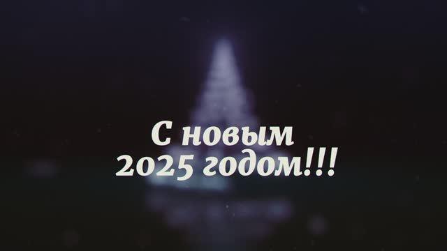 С новым годом 2025!