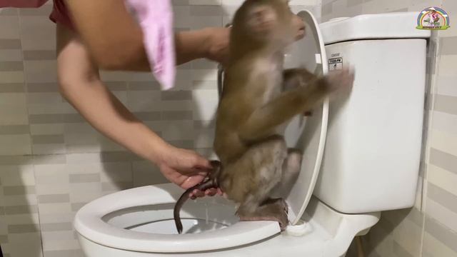 Monkey Lyly accidentally dirty the floor because she didn't wear shoes and the ending...