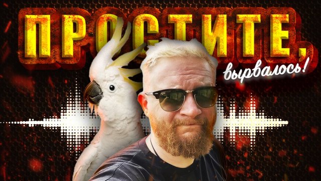 26.12.24 | "Простите, вырвалось!" № 120 | Новости | Пояснительная Бригада выехала