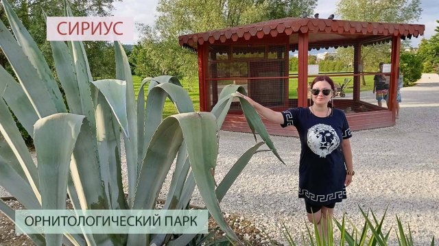 ОРНИТОЛОГИЧЕСКИЙ ПАРК.МОРЕ.СИРИУС