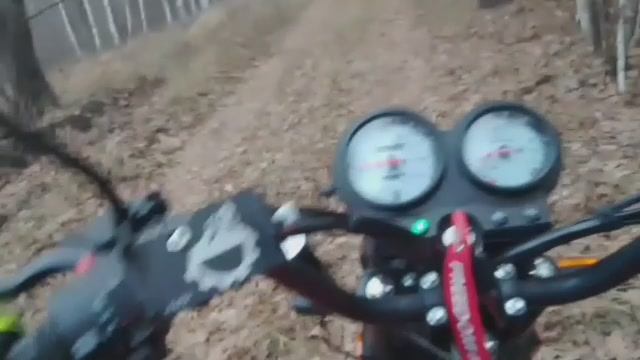 Лесная покатушка ✌️😉