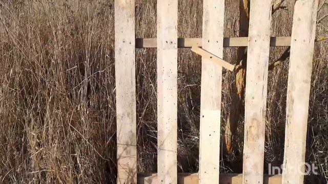 Дробовой патрон 1ца: тест на резкость. Доска или Бумага? Азот, Феттер, Рекорд и Самокрут