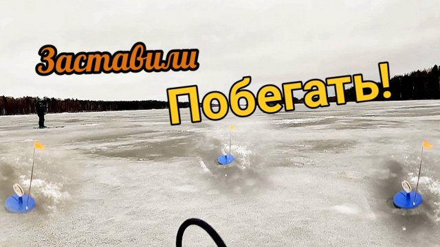 Жерлицы заставили побегать! Зимняя рыбалка в Карелии