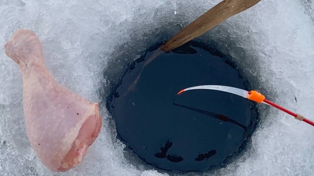 БОЛОТНЫЕ МОНСТРЫ в ЭТОЙ ЛУНКЕ...Крупняк и МЯСО первого льда! Зимняя рыбалка