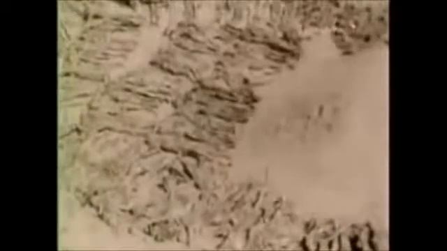 Бабкины Внуки   Песня брянских партизан