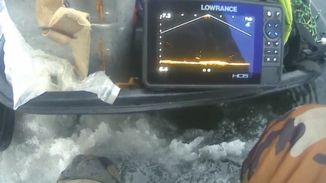 актив таргет зимой обманул судака