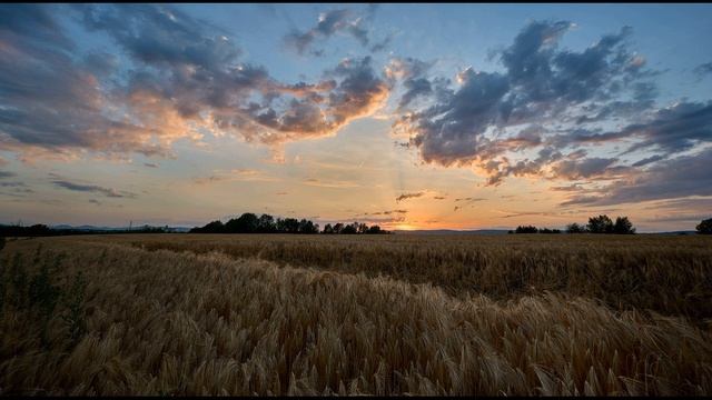 И  Никитин  В синем небе плывут над полями #стихиолете #поэты19века