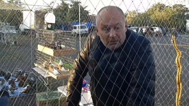Интересная беседа с Романом Головным "Донецким" на ярмарке голубей в Шахтах.