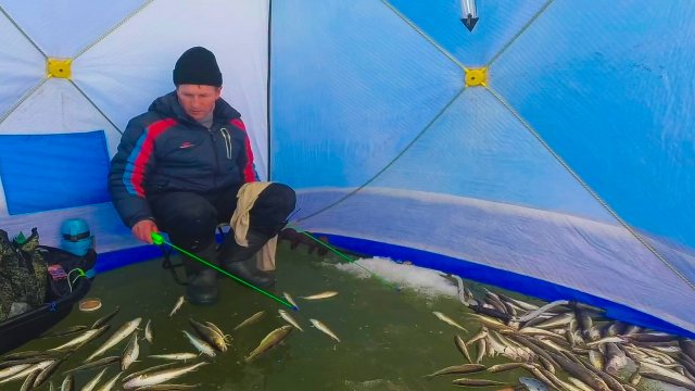 Клевая рыбалка из подо льда на самодур. Бешеный клев