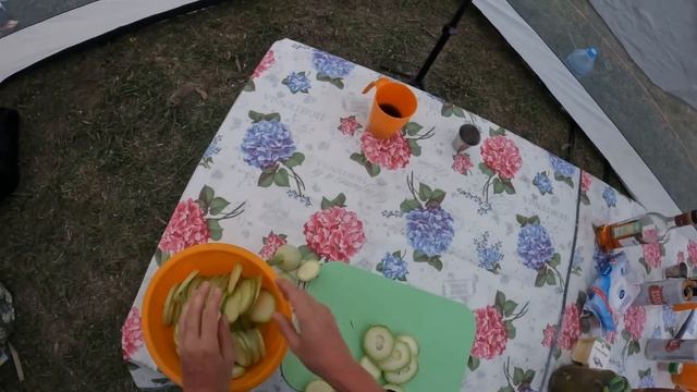 С ПАЛАТКАМИ В АСТРАХАНЬ//НАЛОВИЛИ РЫБЫ//ЖИВЕМ ДИКАРЯМИ