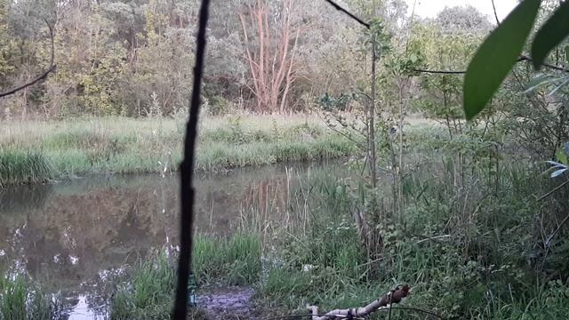 Рыбалка на паук