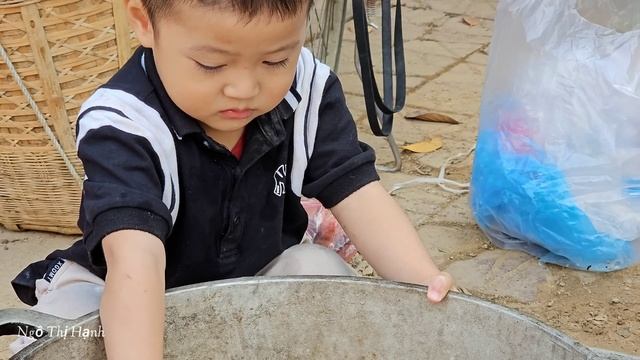 VIDEO FULL: 30 Days Harvesting Agricultural, Cucumber, Green Bean, Grapefruit Goes to market sell