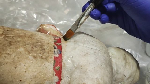 Дезинфекция и отбеливание ватного Мороза