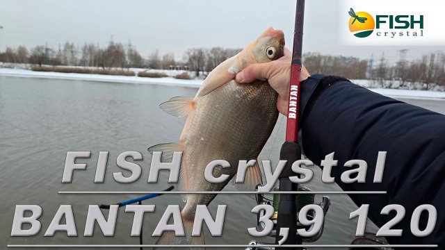 обзор fish crystal  bantan 3.9 120