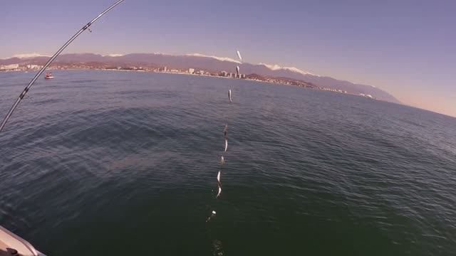 Морская рыбалка в Сочи на рассвете. Наш неожиданно впечатляющий трофей