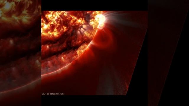 Гигантский протуберанец на Солнце, 25 ноября.