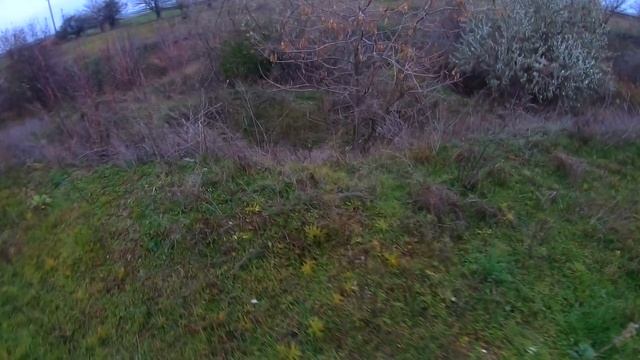 Охота с Пневматикой, много Фазана, (Hatsan)