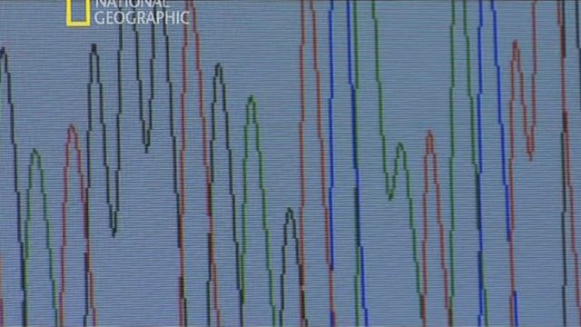 Секретные материалы древности 1 сезон 2 серия (документальный сериал, 2010)