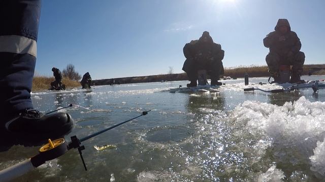 Зимняя рыбалка на карася река Цимла