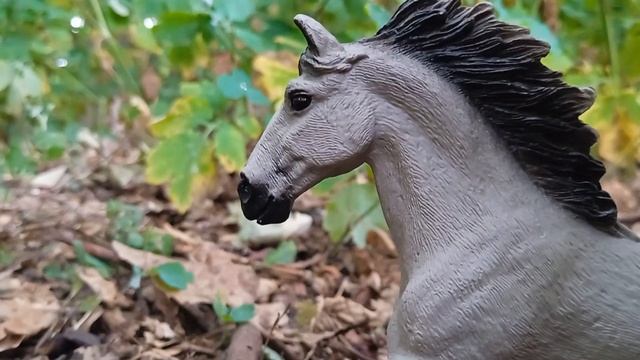 шляйх сериал "дикий конь" серия 5