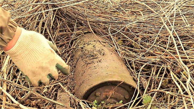 Не поверил, что нашёл некопаное место. Коп металлолома мы здесь первые.