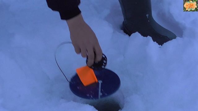 Зимняя рыбалка на реке Иртыш