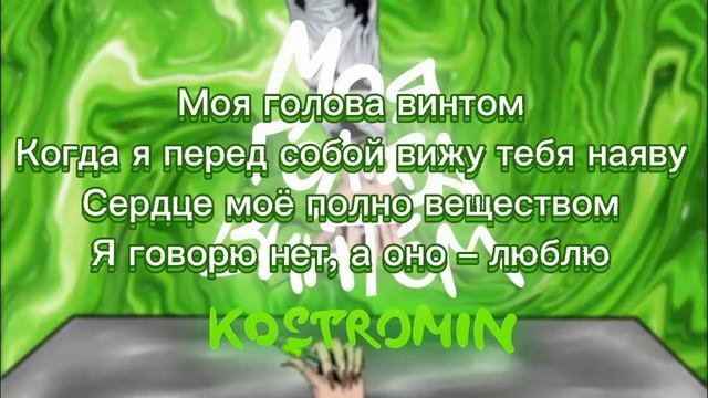 Kostromin - Моя Голова Винтом текст